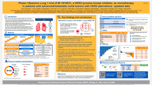 Phase I Beamion™ LUNG-1 trial of BI 1810631, a HER2 tyrosine kinase inhibitor (TKI), as monotherapy in patients (pts) with advanced/metastatic solid tumors with HER2 aberrations: updated data