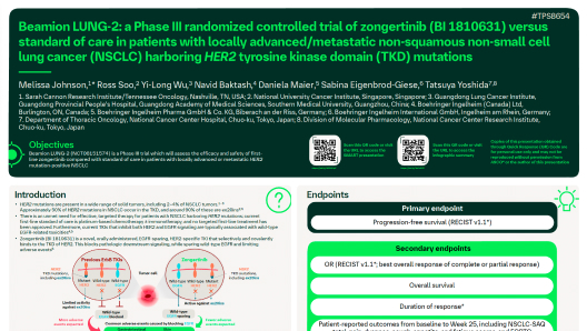 Beamion™ LUNG-2: a Phase III randomized controlled trial of zongertinib (BI 1810631) versus standard of care in patients with locally advanced/metastatic non-squamous non-small cell lung cancer (NSCLC) harboring HER2 tyrosine kinase domain (TKD) mutations