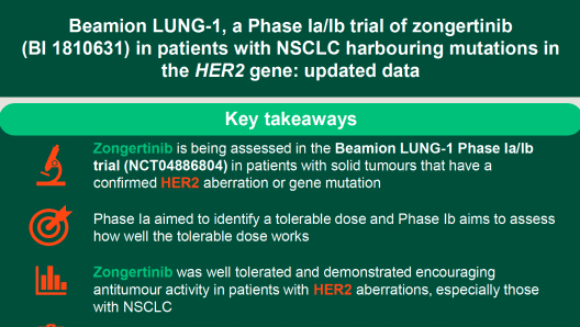 Beamion™ LUNG-1, a Phase Ia/b trial zongertinib (BI 1810631), in patients with NSCLC harbouring mutations in the HER2 gene: updated data