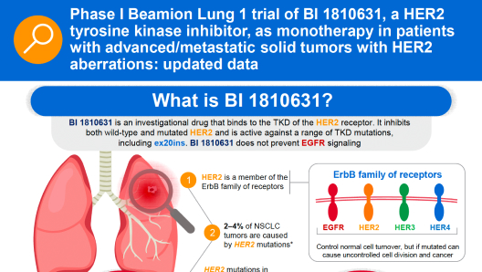 Phase I Beamion™ LUNG-1 trial of BI 1810631, a HER2 tyrosine kinase inhibitor (TKI), as monotherapy in patients (pts) with advanced/metastatic solid tumors with HER2 aberrations: updated data