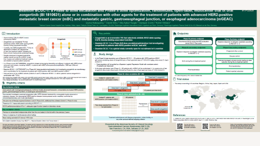 Beamion BCGC-1: a Phase Ib dose escalation and Phase II dose optimization, randomized, open-label, multicenter trial of oral zongertinib (BI 1810631) alone or in combination with other agents for the treatment of patients with advanced HER2-positive metastatic breast cancer (mBC) and metastatic gastric, gastroesophageal junction, or esophageal adenocarcinoma (mGEAC)