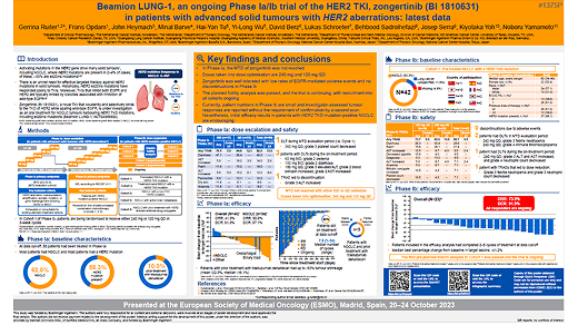 Beamion LUNG-1, an ongoing Phase Ia/Ib trial of the HER2 TKI, zongertinib (BI 1810631) in patients (pts) with advanced solid tumours with HER2 aberrations: latest data