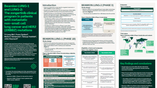 Beamion™ LUNG-1 and LUNG-2: The zongertinib clinical program in patients with advanced HER2-mutant NSCLC