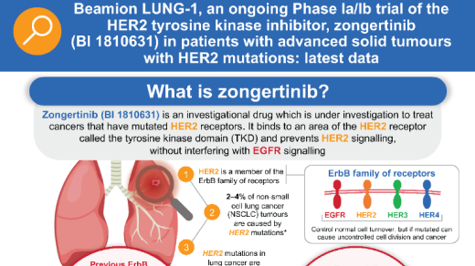 Beamion™ LUNG-1, an ongoing Phase Ia/Ib trial of the HER2 TKI, zongertinib (BI 1810631) in patients (pts) with advanced solid tumours with HER2 aberrations:  latest data