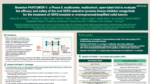 Beamion PANTUMOR-1: A phase II, multicenter, multicohort, open-label trial to evaluate the efficacy and safety of the oral HER2-selective tyrosine kinase inhibitor zongertinib for the treatment of HER2-mutated or overexpressed/amplified solid tumors