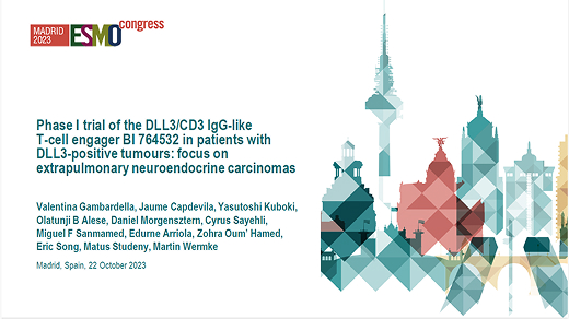 Phase I trial of the DLL3/CD3 IgG-like T-cell engager BI 764532 in patients (pts) with DLL3-positive (+) tumours: focus on neuroendocrine carcinomas