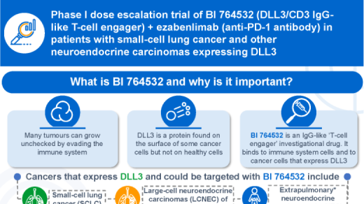 Phase I dose escalation trial of BI 764532 (DLL3/CD3 IgG-like T cell engager) + ezabenlimab (anti-PD-1 antibody) in patients with small cell lung cancer and other neuroendocrine carcinomas (NECs) expressing DLL3