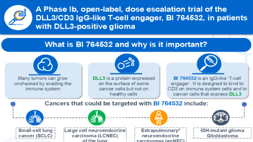 A Phase Ib, open-label, dose escalation trial of the delta-like ligand 3 (DLL3)/CD3 IgG-like T-cell engager, BI 764532, in patients with DLL3-positive glioma.