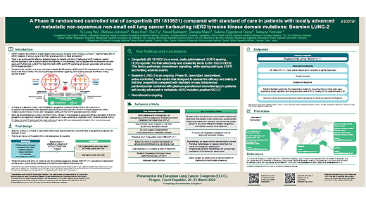 A Phase III randomised controlled trial of zongertinib (BI 1810631) compared with standard of care in patients  with locally advanced or metastatic non-squamous non-small cell lung cancer (NSCLC) harbouring HER2 tyrosine kinase domain mutations: Beamion LUNG-2