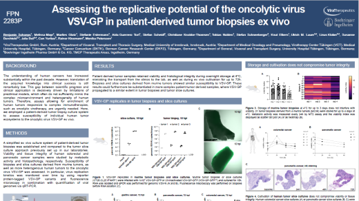 Assessing the replicative potential of the oncologytic virus VSV-GP in patient-derived tumor biopsies ex vivo