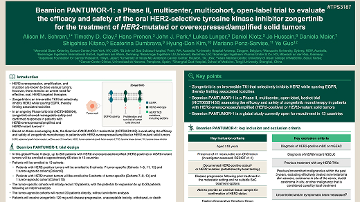 Beamion™ PANTUMOR-1: a Phase II, multicenter, multicohort, open-label trial to evaluate the efficacy and safety of the oral HER2-selective tyrosine kinase inhibitor zongertinib for the treatment of HER2-mutated or overexpressed/amplified solid tumors