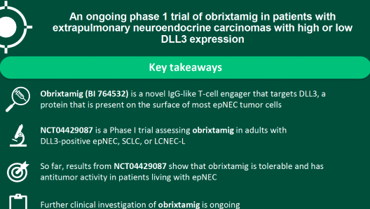 NANETS-2025-Capdevila-Infographic