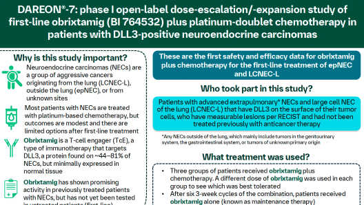 NANETS-2025-Chauhan-Infographic